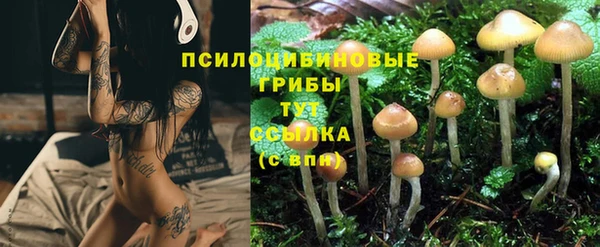 гашиш Нефтекумск